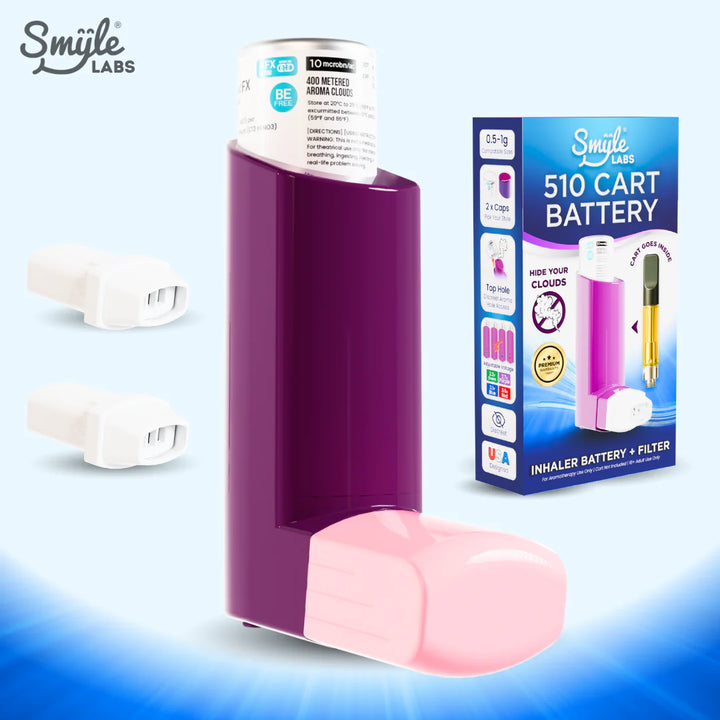 Discreet Inhaler Device Smyle INHALER 510 Cart Battery w/ Filter – True Wholesale