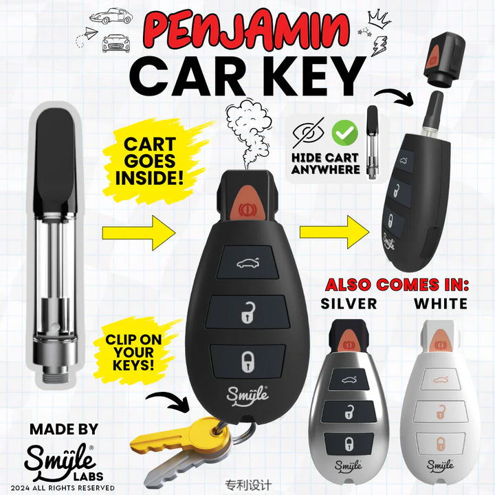 Smyle Penjamin Car Key Battery